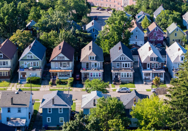 Buffalo Street Trees